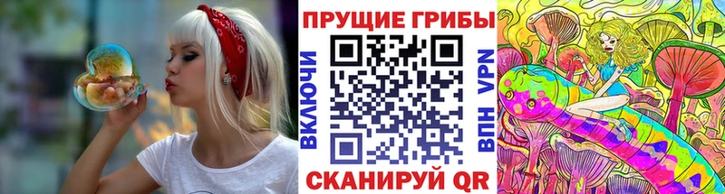 продажа наркотиков  Южа  Псилоцибиновые грибы Magic Shrooms 